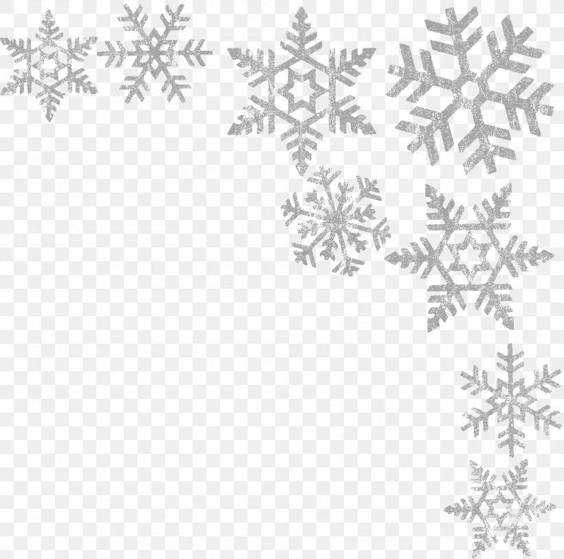 Wadi Rum Snowflake Winter, PNG, 1000x992px, Wadi Rum, Area, Black And White, Branch, Christmas Download Free
