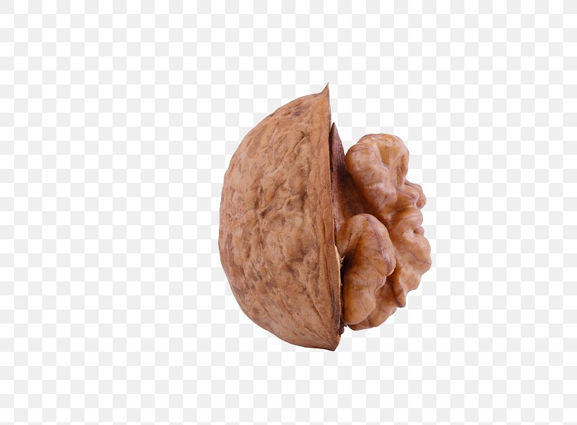 Walnut Stock Photography Wisgoon, PNG, 739x604px, Walnut, Auglis, Depositphotos, Drupe, Gratis Download Free
