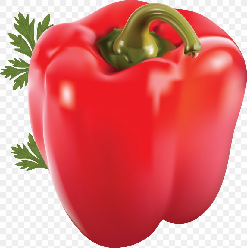 Chili Pepper Bell Pepper Capsicum Vegetable Spice, PNG, 3501x3524px, Bell Pepper, Apple, Bell Peppers And Chili Peppers, Capsicum, Capsicum Annuum Download Free
