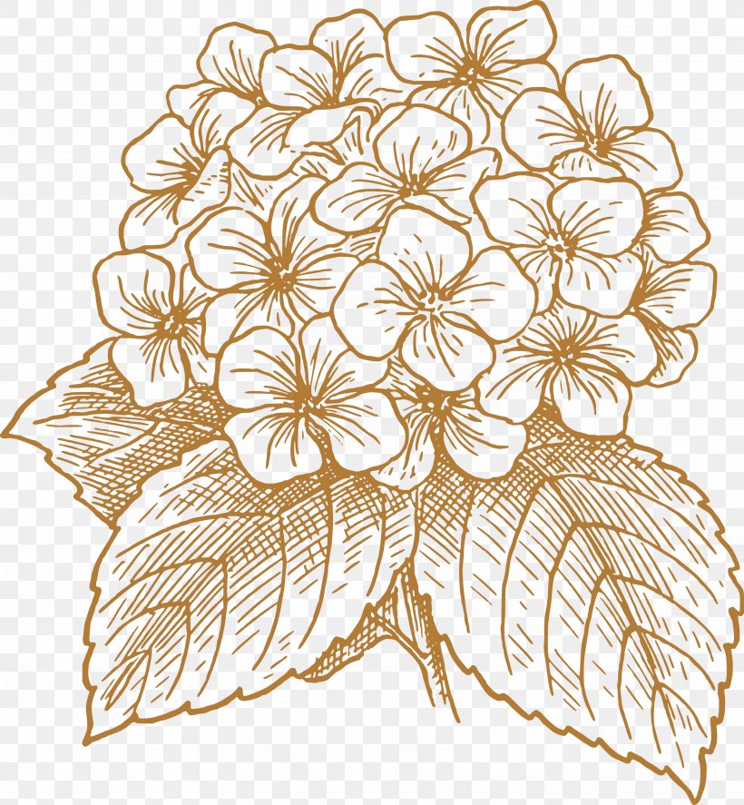 French Hydrangea Flower Drawing Clip Art, PNG, 3427x3708px, Hydrangea, Art, Cut Flowers, Drawing, Floral Design Download Free