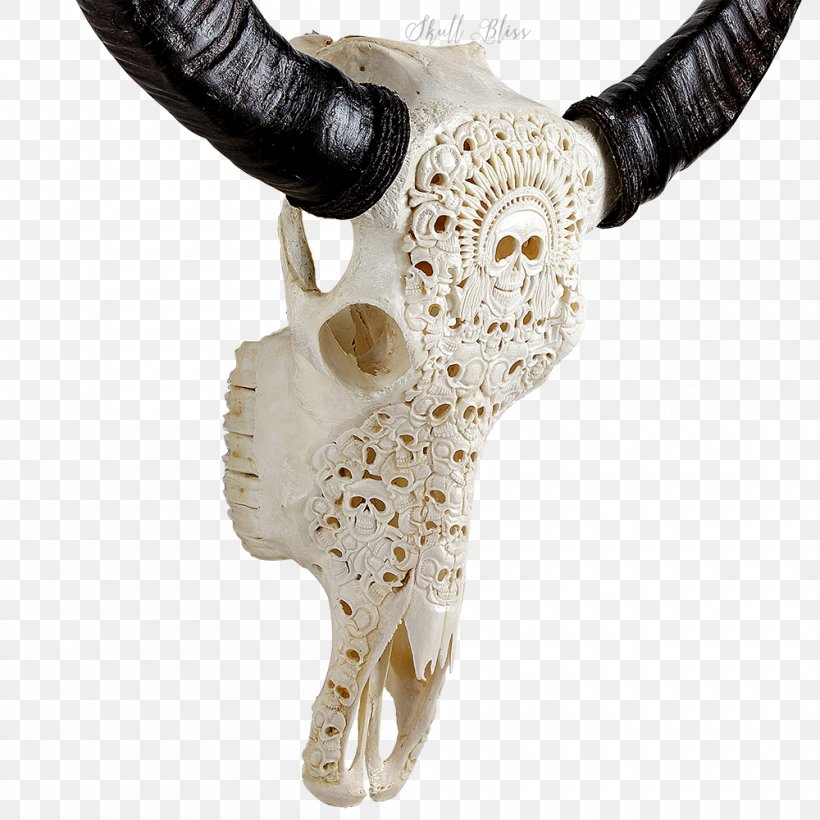 Horn Cattle Animal Skulls Bone, PNG, 1000x1000px, Horn, American Bison, Animal, Animal Skulls, Bone Download Free