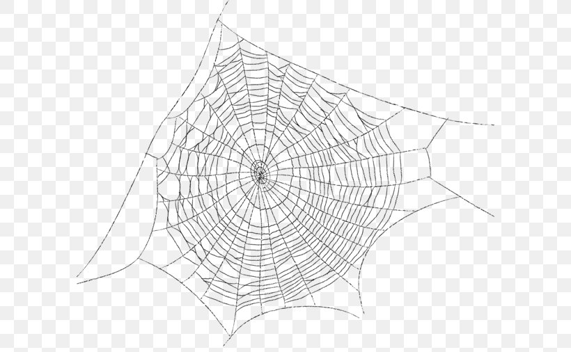 Spider Web Drawing, PNG, 600x506px, Spider Web, Arachnid, Area, Black And White, Drawing Download Free