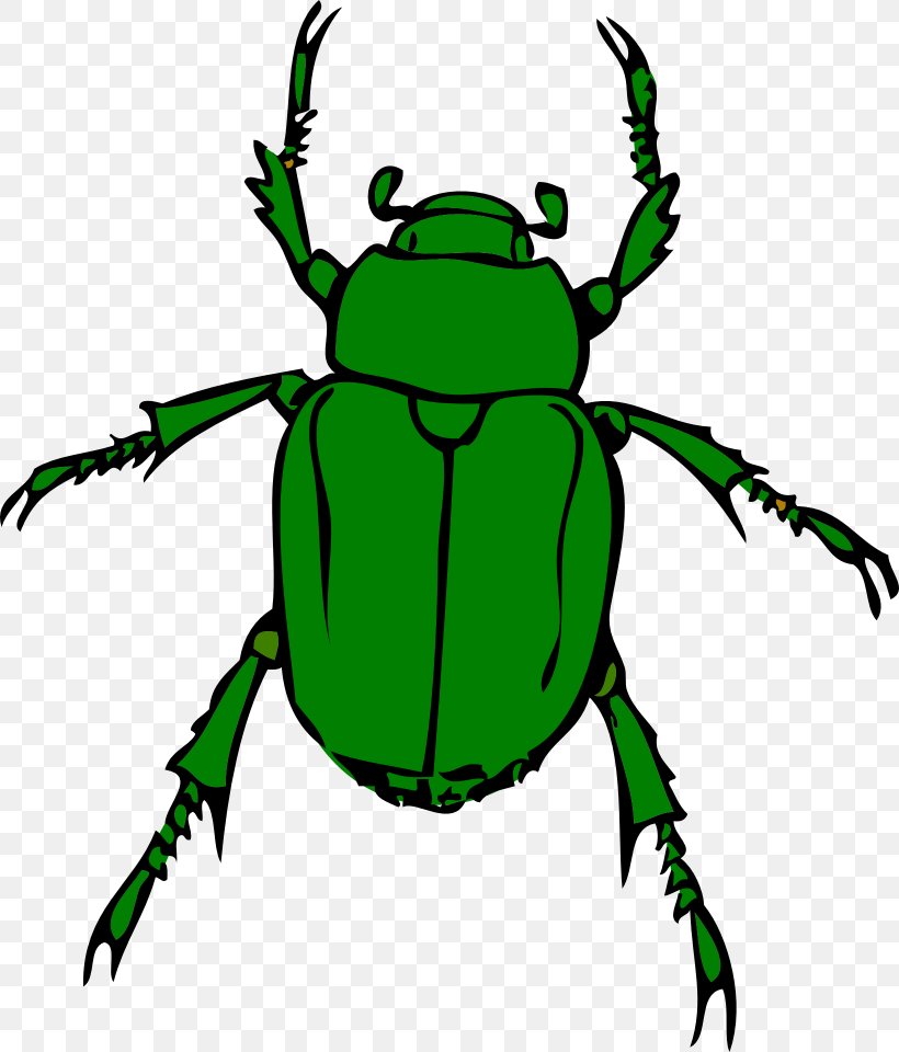 Volkswagen Beetle Clip Art, PNG, 1640x1920px, Beetle, Amphibian, Arthropod, Artwork, Drawing Download Free