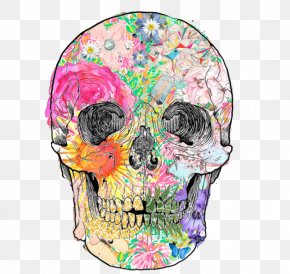 Skull - Human Skull Symbolism Drawing Skull Art PNG