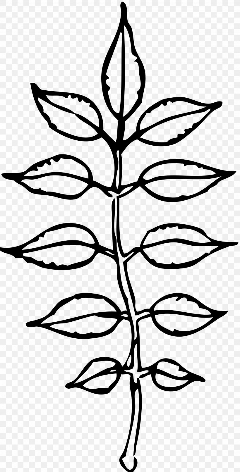 Black And White Leaf Clip Art, PNG, 2555x5030px, Black And White, Branch, Coloring Book, Flora, Flower Download Free