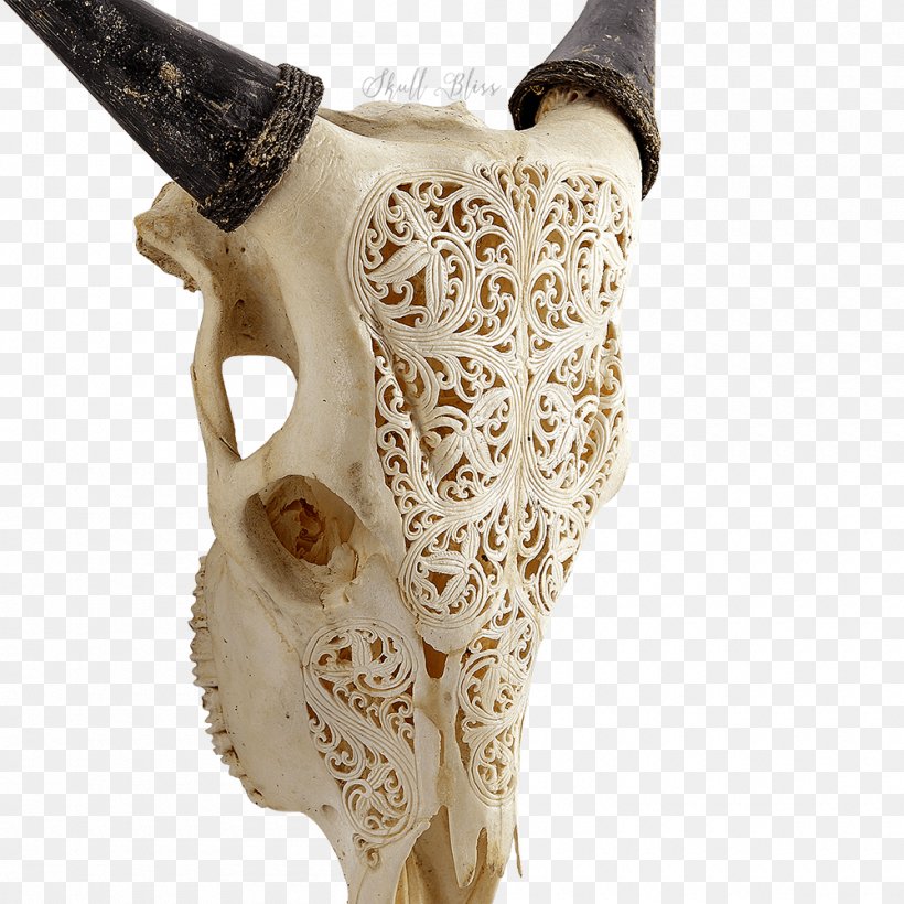 Bone Animal Skulls Horn Cattle, PNG, 1000x1000px, Bone, Animal, Animal Skulls, Artifact, Book Download Free