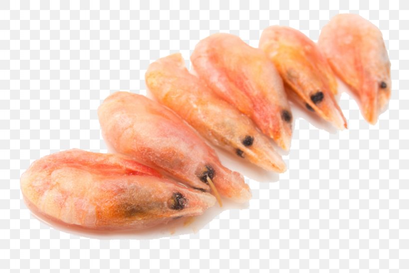 Caridea Fried Prawn Shrimp Seafood, PNG, 1024x685px, Caridea, Animal Source Foods, Caridean Shrimp, Decapoda, Fish Download Free