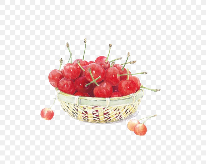 Cherry Painting Colored Pencil Auglis Illustration, PNG, 580x654px, Cherry, Auglis, Colored Pencil, Crayon, Drawing Download Free