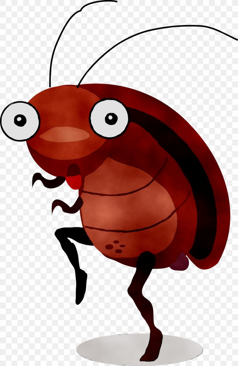 Cockroach Cartoon Vector Graphics Royalty-free Illustration, PNG, 1080x1658px, Cockroach, Ant, Canvas, Caricature, Cartoon Download Free