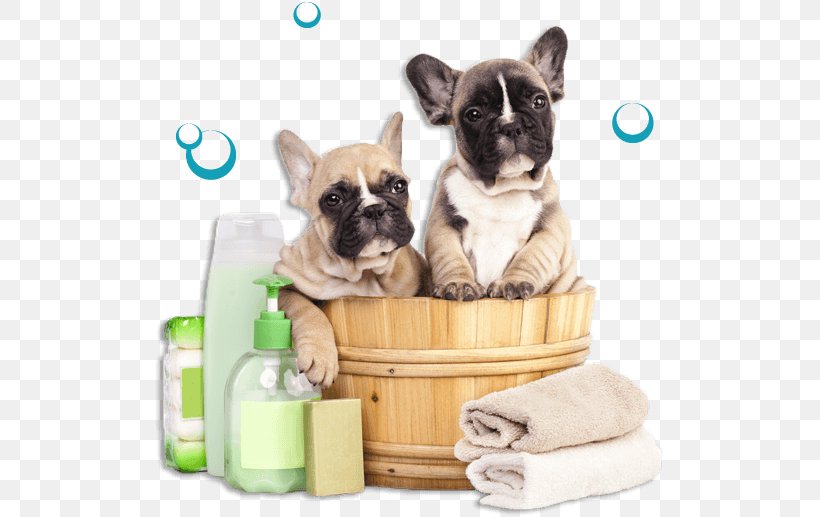 French Bulldog Dog Grooming Pet Puppy Cat, PNG, 523x517px, French Bulldog, Breed, Brush, Bulldog, Carnivoran Download Free
