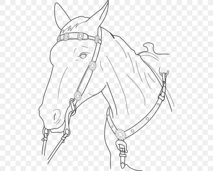 Horse Stallion Coloring Book Dog Clip Art, PNG, 524x659px, Horse, Animal, Arm, Artwork, Bit Download Free
