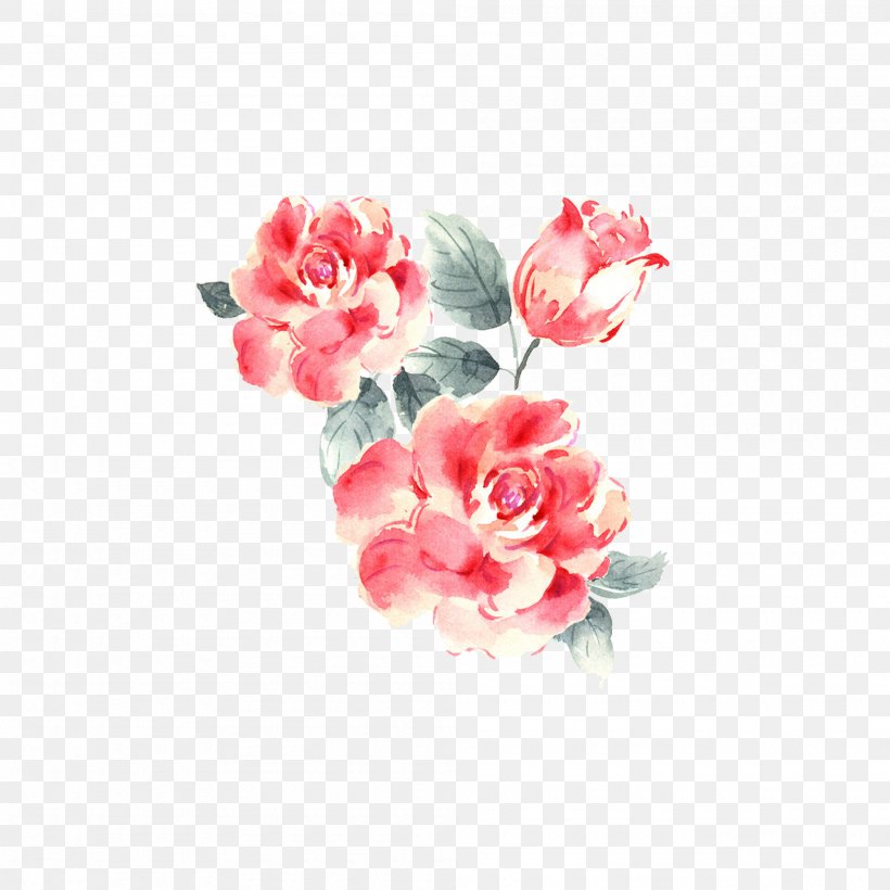 Garden Roses Drawing, PNG, 2000x2000px, Garden Roses, Art, Artificial Flower, Carnation, Cartoon Download Free