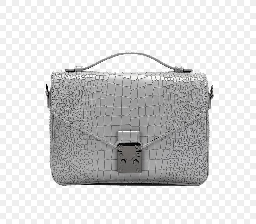 Handbag Crocodiles Alligator, PNG, 790x716px, Handbag, Alligator, Animal, Bag, Birkin Bag Download Free