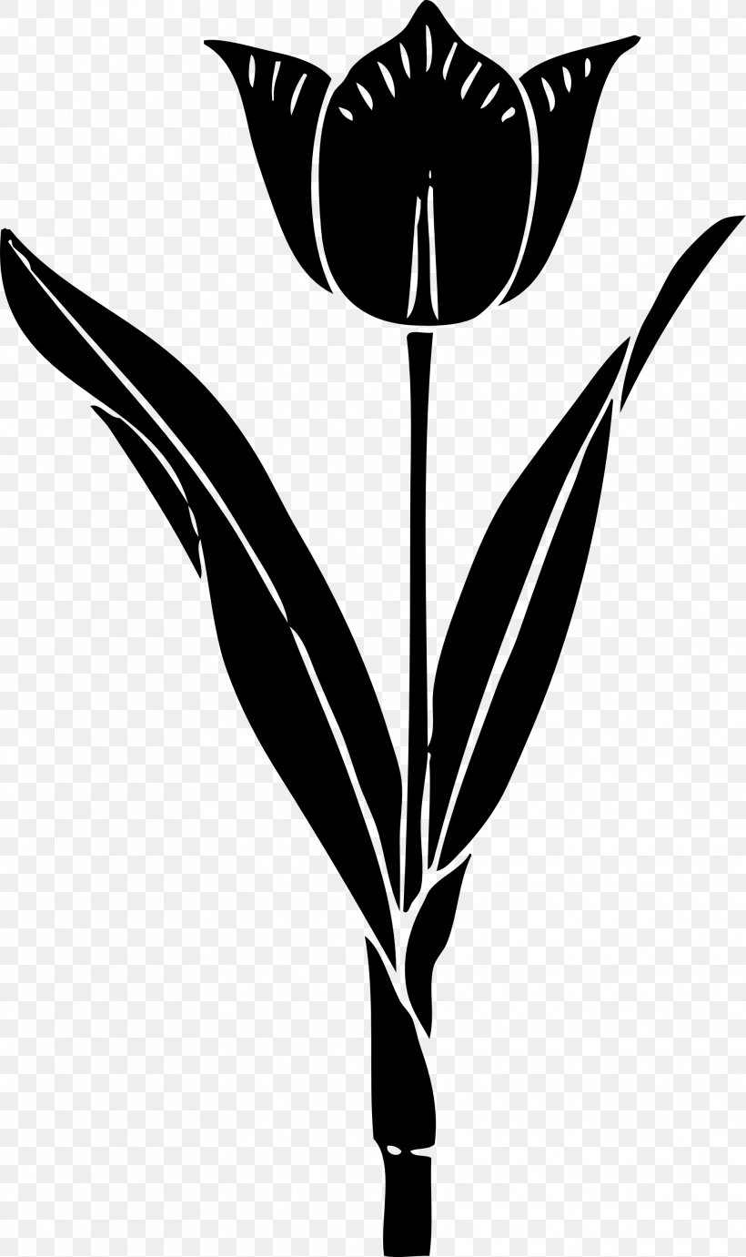 Tulip Silhouette Drawing Clip Art, PNG, 1969x3317px, Tulip, Black, Black And White, Branch, Color Download Free