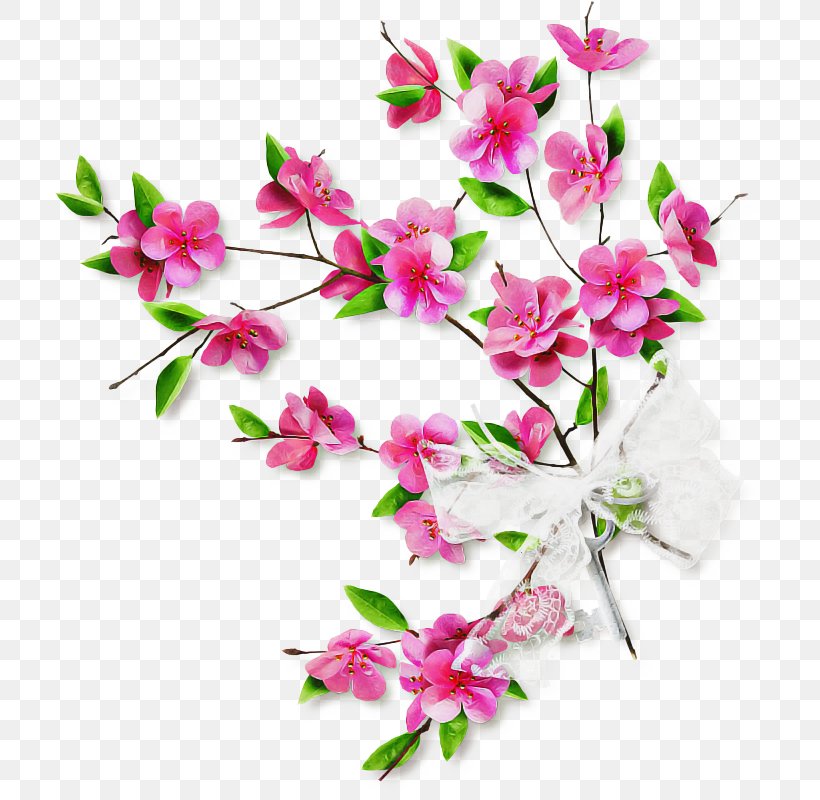 Pink Flower Cartoon, PNG, 712x800px, Floral Design, Blossom, Branch, Cut Flowers, Dendrobium Download Free
