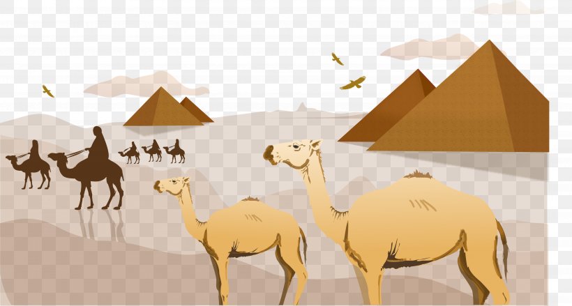 Sahara Camel Arabian Desert Clip Art, PNG, 3658x1959px, Sahara, Arabian Camel, Arabian Desert, Camel, Camel Like Mammal Download Free