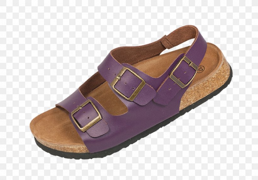 Slide Sandal Shoe Walking, PNG, 905x633px, Slide, Brown, Footwear, Outdoor Shoe, Purple Download Free