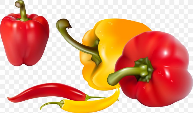 Aroy-D Bistro Vegetable Clip Art, PNG, 1500x885px, Aroyd Bistro, Bell Pepper, Bell Peppers And Chili Peppers, Capsicum, Cayenne Pepper Download Free