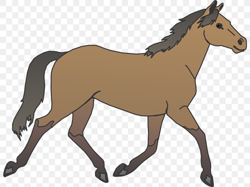 Horse Pony Foal Clip Art, PNG, 800x612px, Horse, Animal Figure, Bridle, Canter And Gallop, Collection Download Free