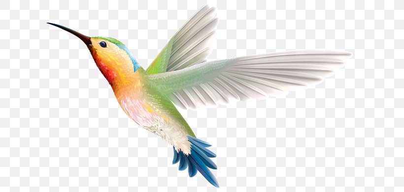 Hummingbird Clip Art, PNG, 640x391px, Hummingbird, Beak, Bird, Bird Flight, Fauna Download Free