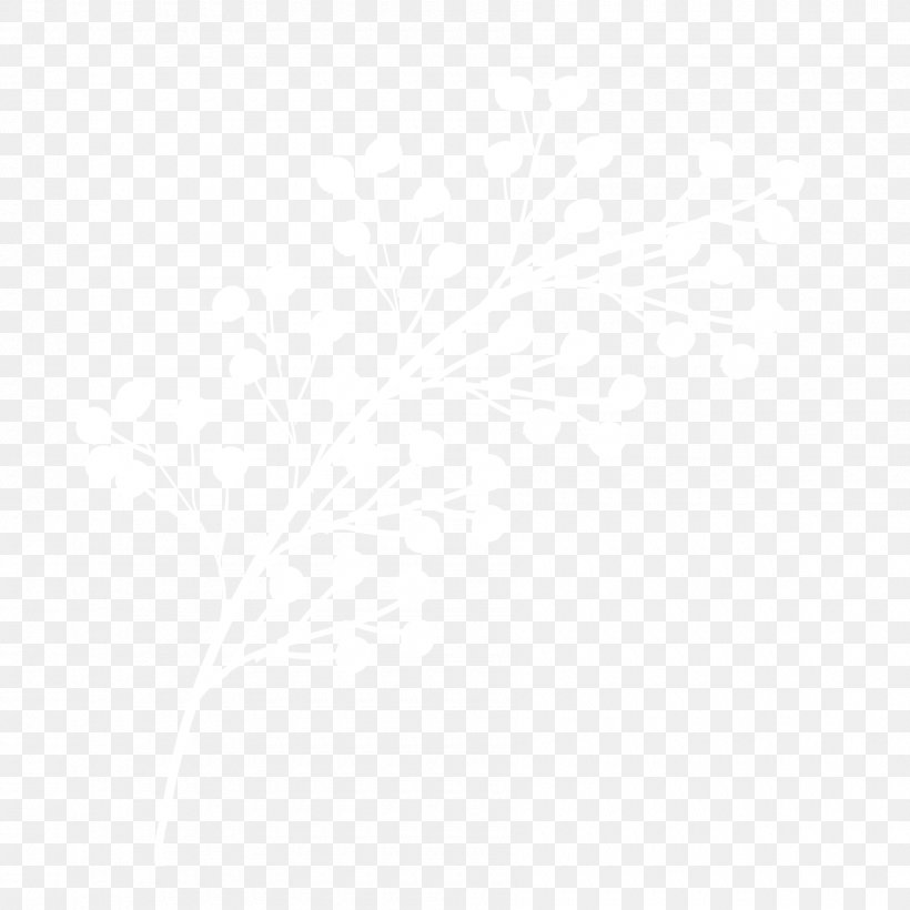 White Black Pattern, PNG, 1800x1800px, White, Area, Black, Black And White, Monochrome Download Free