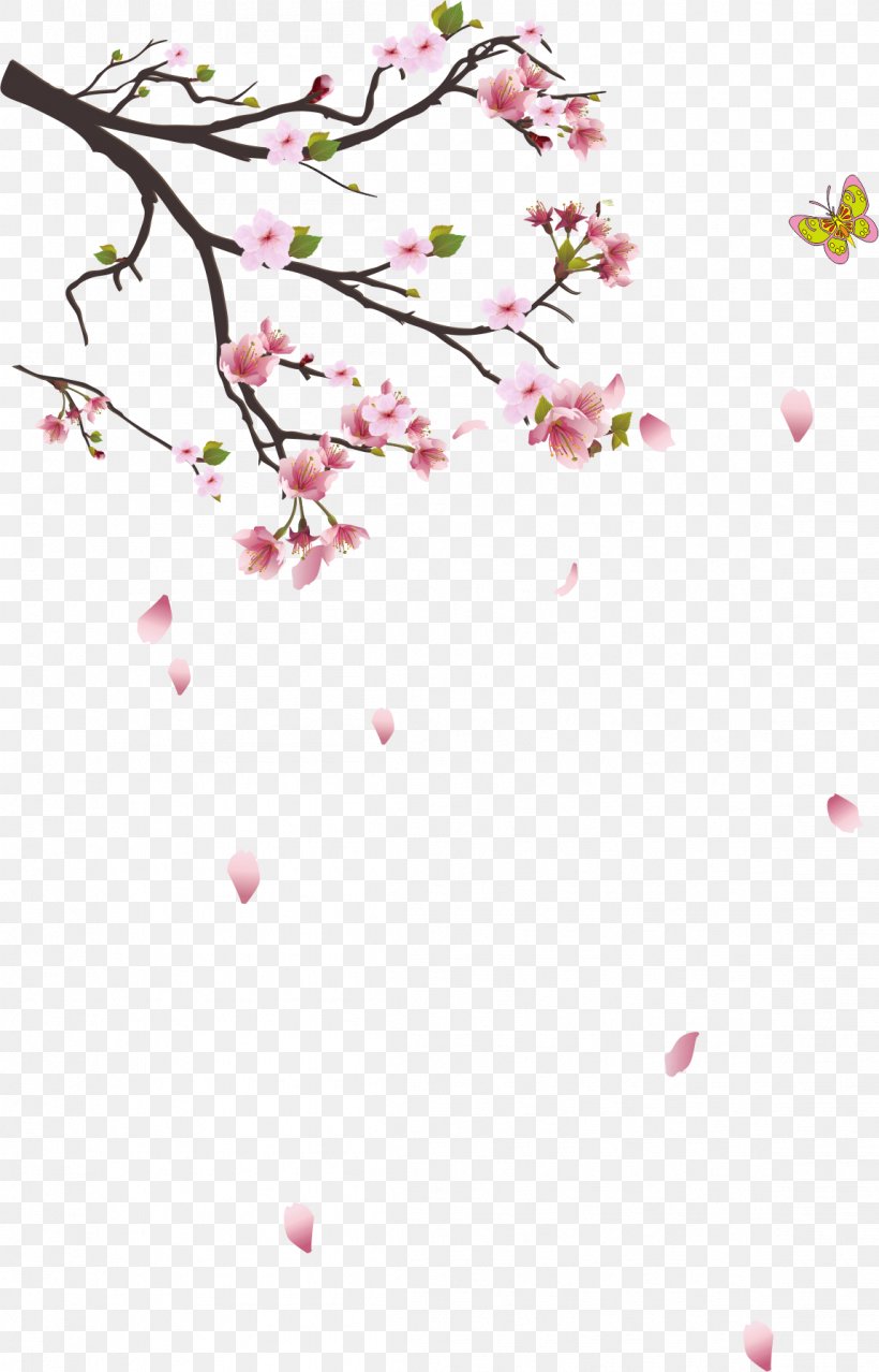 Branch Tree, PNG, 1149x1791px, Cherry Blossom, Area, Blossom, Branch, Cherry Download Free