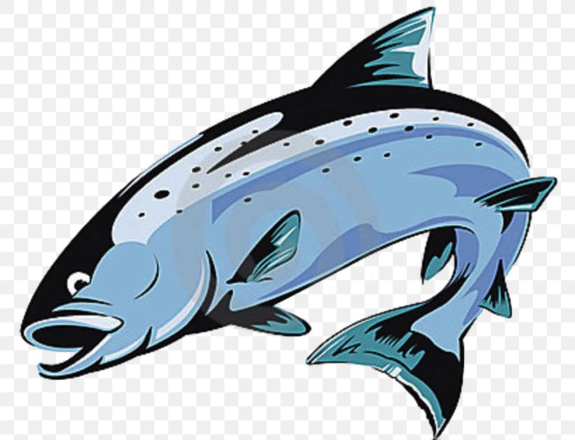 Chinook Salmon Trout Atlantic Salmon Clip Art, PNG, 781x628px, Chinook Salmon, Atlantic Salmon, Automotive Design, Cartilaginous Fish, Dolphin Download Free