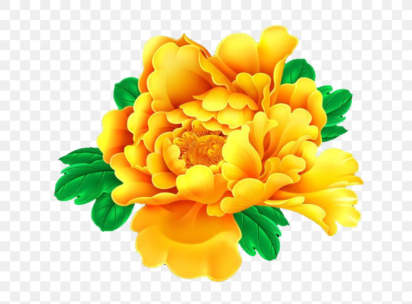 Clip Art Flower Image Design, PNG, 675x605px, Flower, Artificial Flower, Chrysanthemum, Cut Flowers, Drawing Download Free