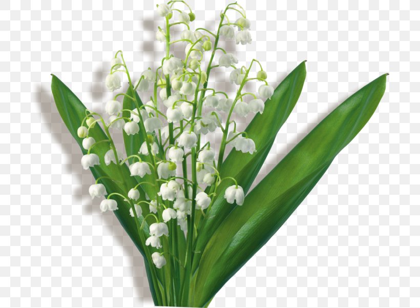 Flower Bouquet Clip Art Lily Of The Valley GIF, PNG, 700x601px, 2018, Flower, Cut Flowers, Drawing, Floral Design Download Free