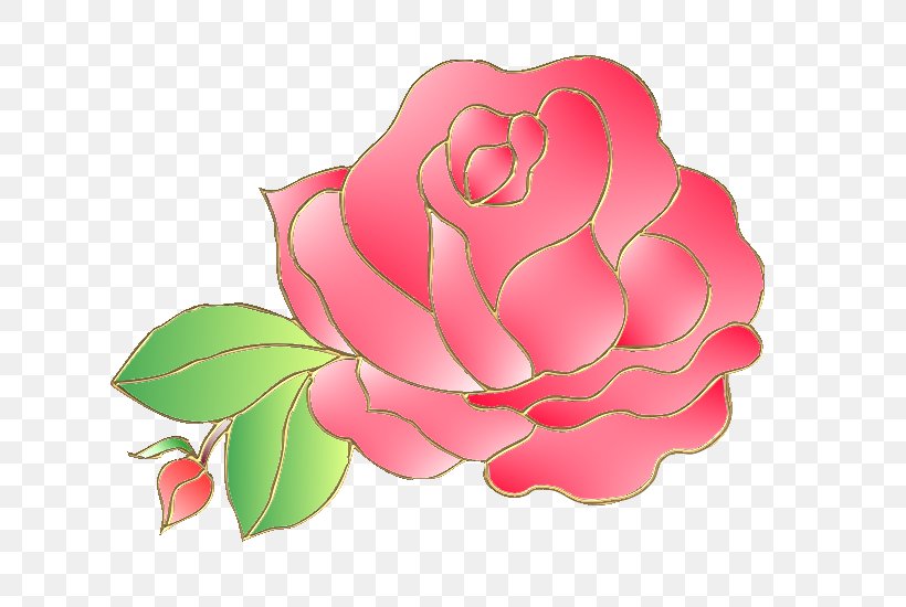 Garden Roses Flower, PNG, 700x550px, Garden Roses, Animation, Blog, Blume, Camellia Download Free