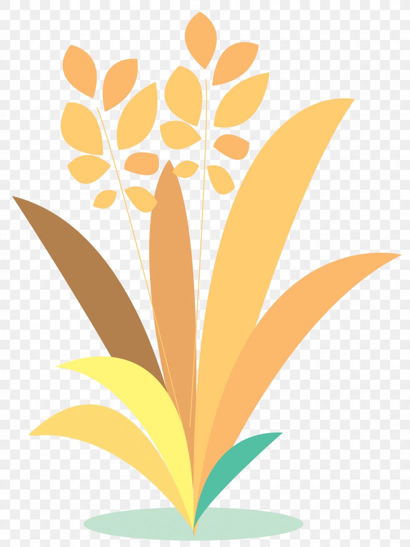 Cartoon Rice Paddy Field, PNG, 1796x2400px, Cartoon, Bran, Cartoon Network, Floral Design, Flower Download Free