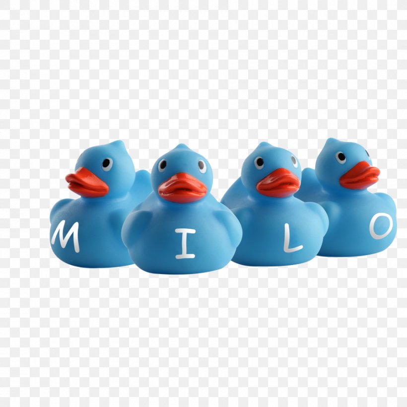 Rubber Duck Anatidae .nl Blue, PNG, 900x900px, Duck, Anatidae, Beak, Bird, Blue Download Free