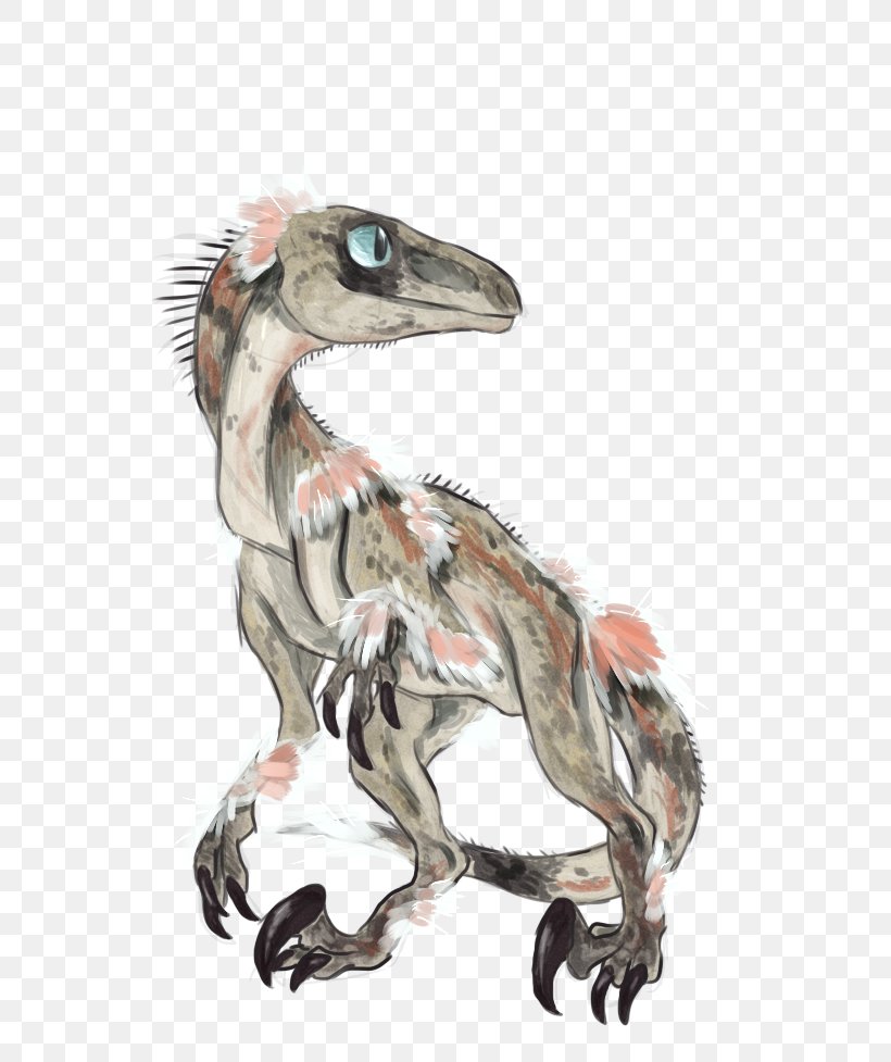 Velociraptor Child Utahraptor Arctic Ocean Wine, PNG, 665x977px, Velociraptor, Arctic Ocean, Avatar, Child, Clothing Download Free