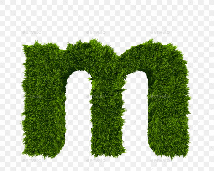 Letter Case M, PNG, 1000x800px, 3d Computer Graphics, Letter, Alphabet, Computer Keyboard, Grass Download Free