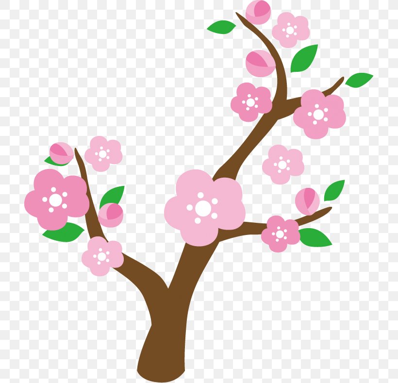 Plum Tree., PNG, 720x789px, Cherry Blossom, Advertising, Blossom, Branch, Flora Download Free