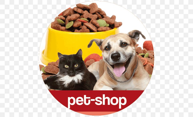 Dog Cat Rainbow Bridge Pet Shop, PNG, 500x500px, Dog, Adoption, Animal, Animal Loss, Cat Download Free