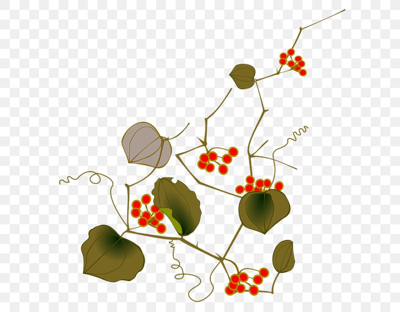 Wine Fruit Berry Illustration, PNG, 640x640px, Wine, Berry, Branch, Flora, Floral Design Download Free