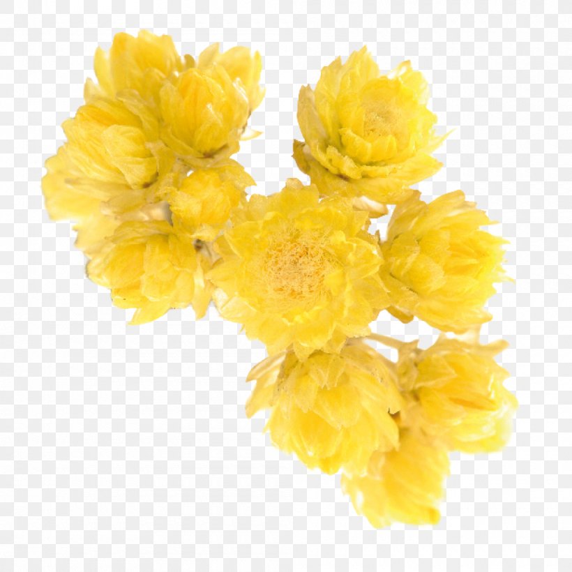 Cut Flowers Mimosa Petal, PNG, 1000x1000px, Cut Flowers, Flower, Mimosa, Petal, Yellow Download Free