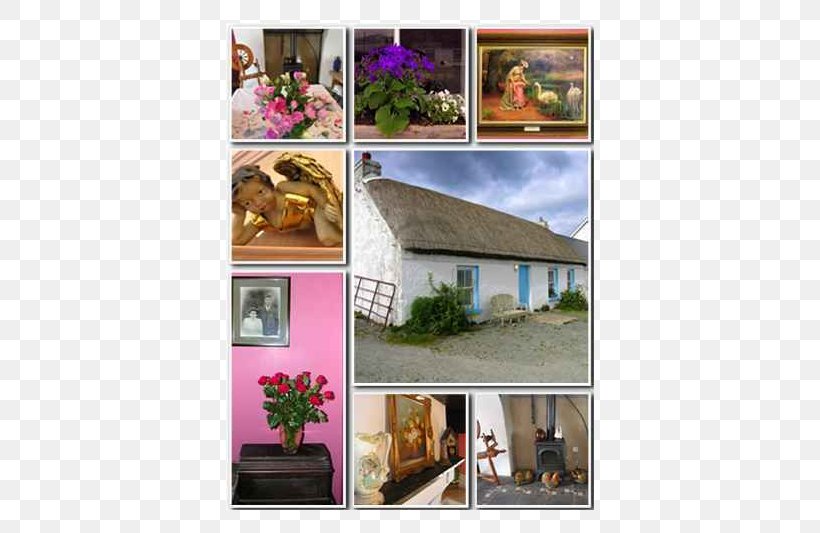 Property Advertising Collage Flower, PNG, 800x533px, Property, Advertising, Collage, Flora, Flower Download Free