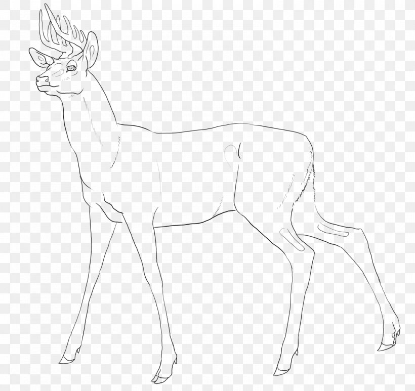 Reindeer Antelope Line Art White Pack Animal, PNG, 1600x1509px, Reindeer, Antelope, Antler, Artwork, Black And White Download Free