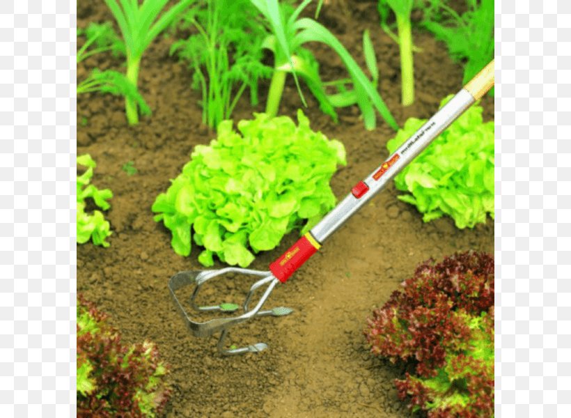 Weeder Gardening Tool Handle, PNG, 800x600px, Weeder, Binage, Blade, Cultivator, Cultivator Manual Download Free