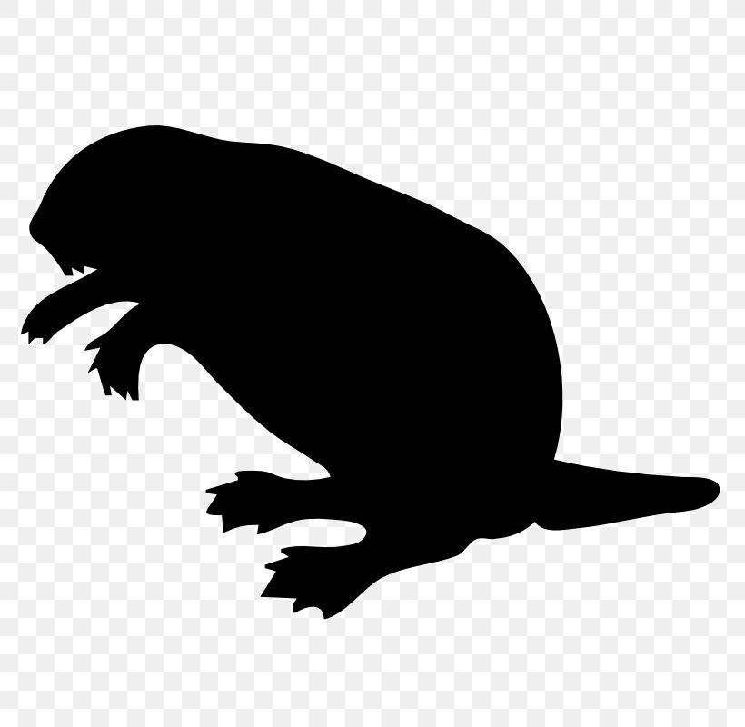 Beaver Clip Art, PNG, 800x800px, Beaver, Beak, Beaver Dam, Bird, Black And White Download Free