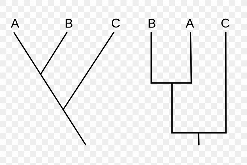 Cladogram Cladistics Phylogenetics Taxon Biology, PNG, 1280x853px, Cladogram, Apomorfi, Area, Biology, Black Download Free