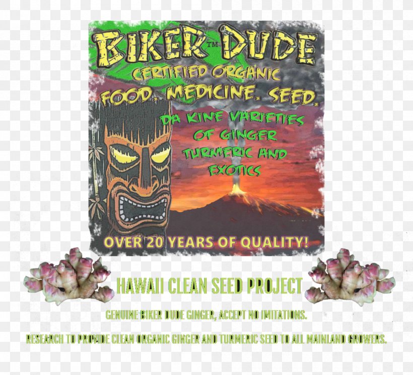 Ginger Turmeric Tuber Puna Organics, PNG, 1000x910px, Ginger, Advertising, Harvest, Hawaii, Real Deal Download Free