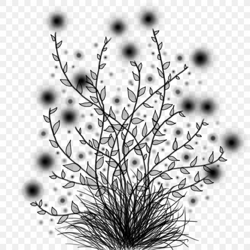 Twig Plant Stem Leaf Desktop Wallpaper Computer, PNG, 894x894px, Twig, Black M, Blackandwhite, Botany, Branch Download Free