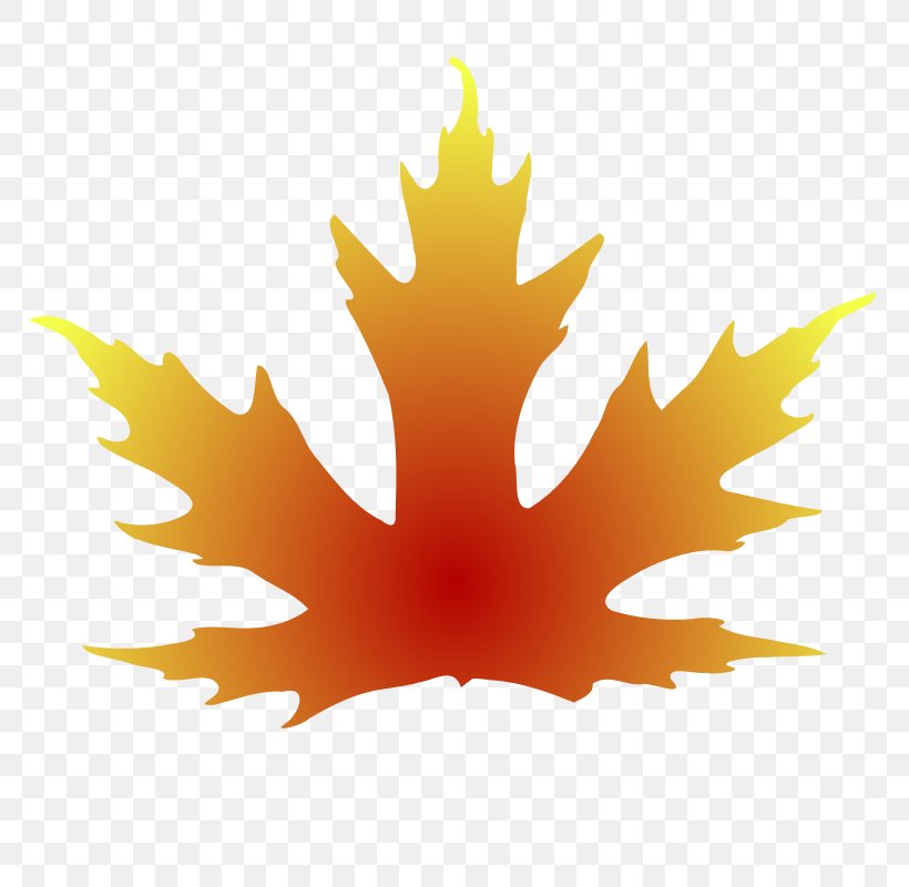 Autumn Leaf Color Clip Art, PNG, 800x800px, Leaf, Autumn, Autumn Leaf Color, Color, Flowering Plant Download Free