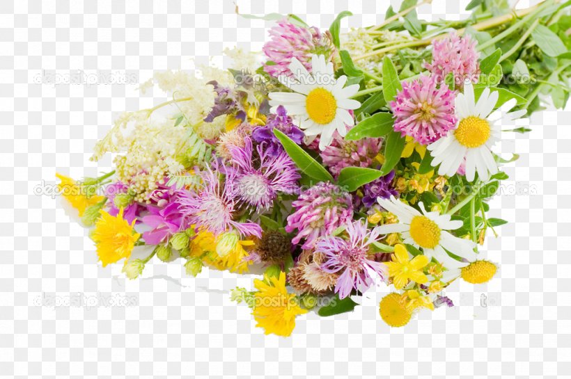 Flower Bouquet Stock Photography Gift, PNG, 1023x680px, Flower Bouquet, Annual Plant, Blossom, Blume, Branch Download Free