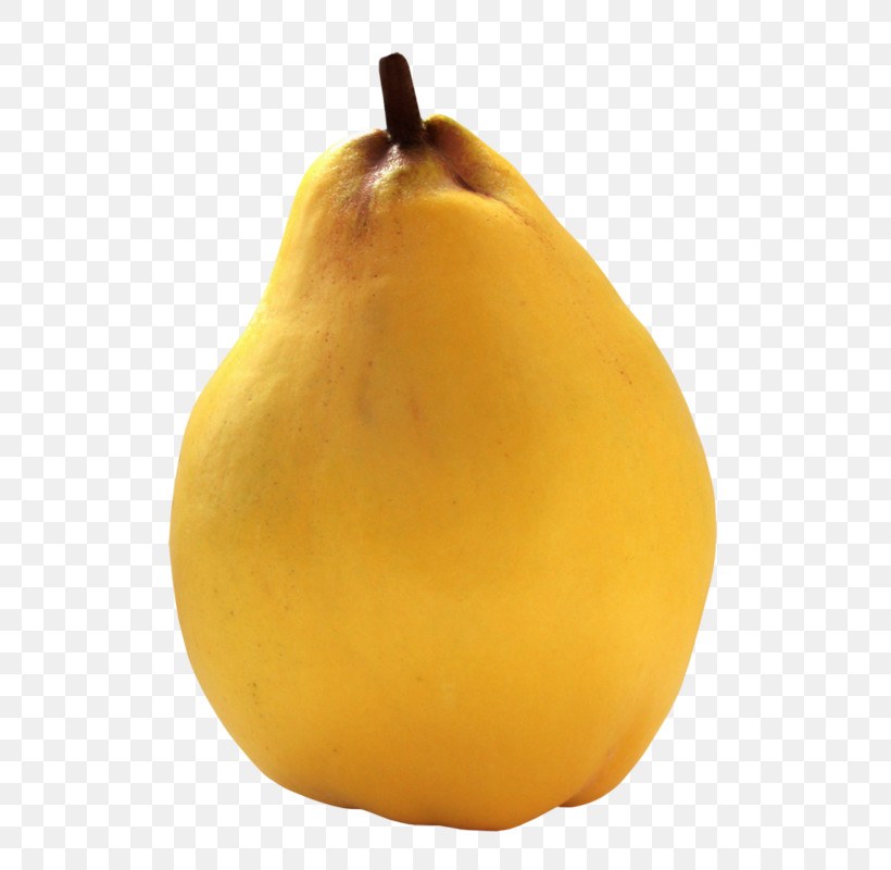 Pear Pear Fruit Food Yellow, PNG, 591x800px, Pear, Accessory Fruit, Food, Fruit, Plant Download Free