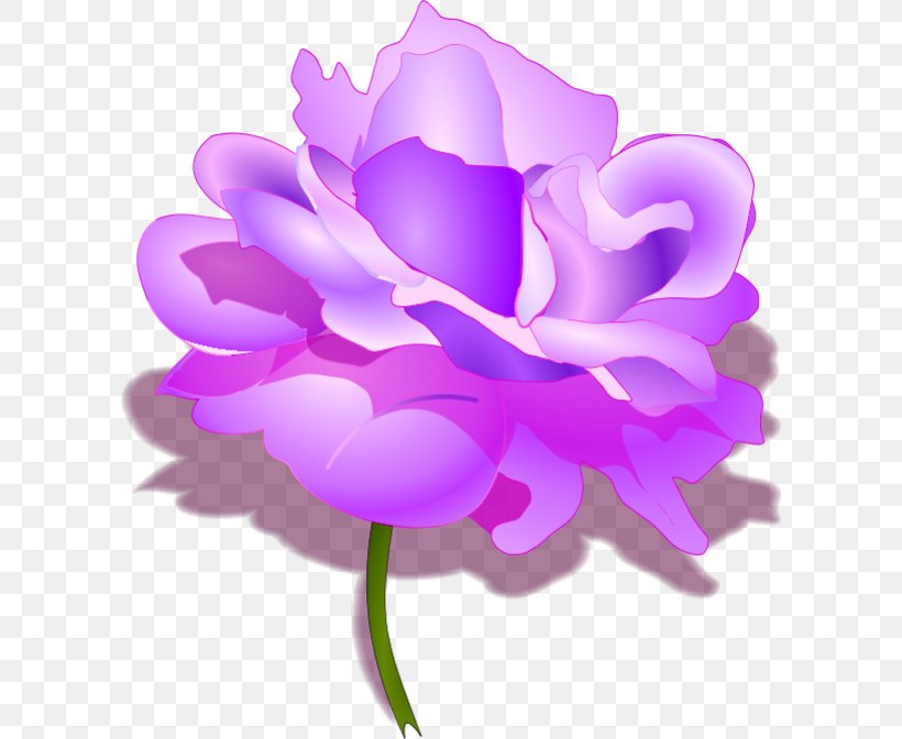 Clip Art Openclipart Vector Graphics Drawing Rose, PNG, 600x672px, Drawing, Anemone, Cut Flowers, Floral Design, Flower Download Free