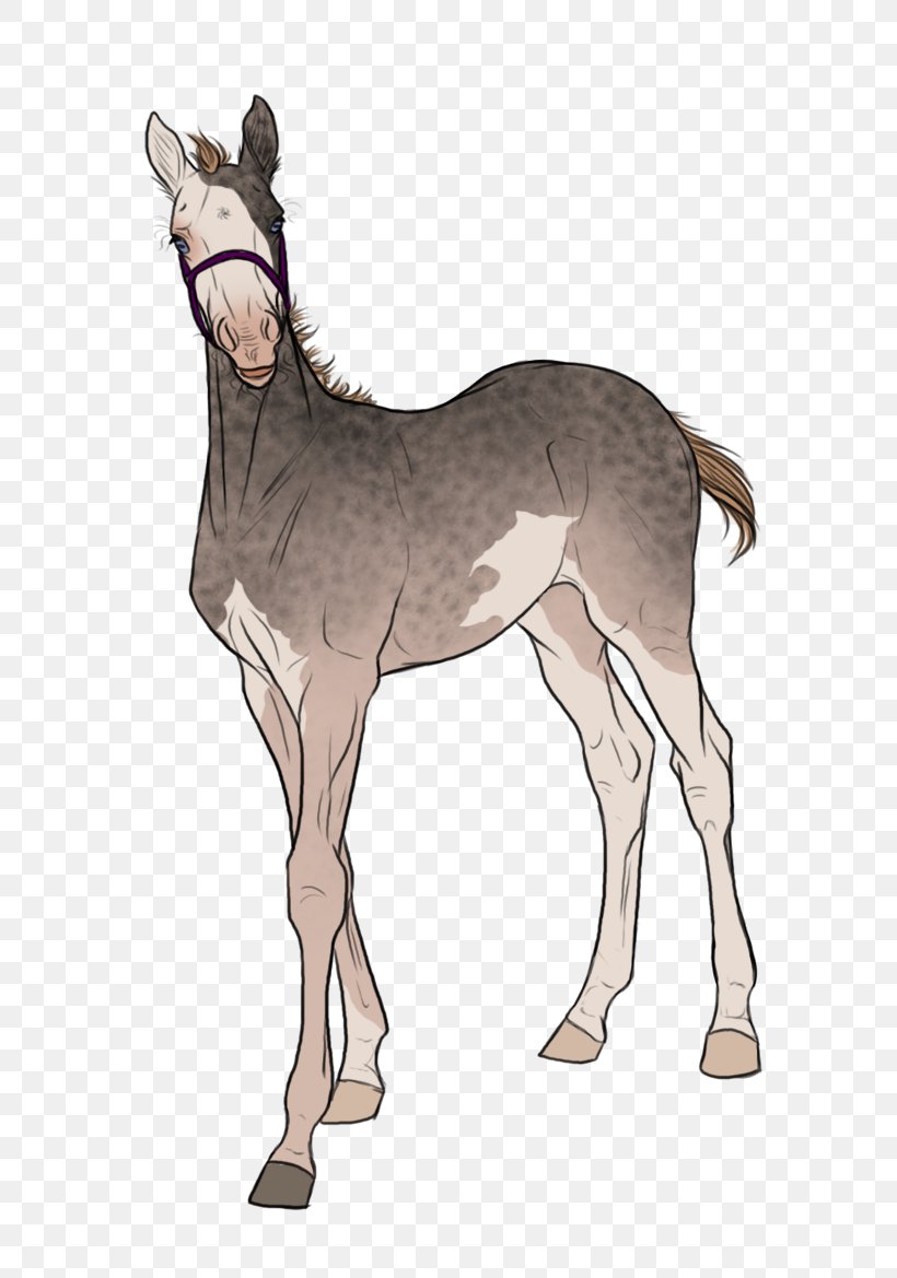 Mule Foal Stallion Mare Colt, PNG, 762x1169px, Mule, Animal, Bridle, Colt, Deer Download Free
